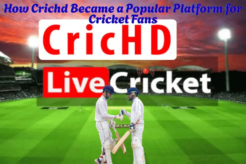 How Crichd Became a Popular Platform for Cricket Fans