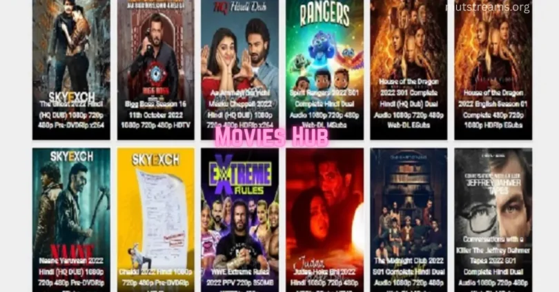 movies hub