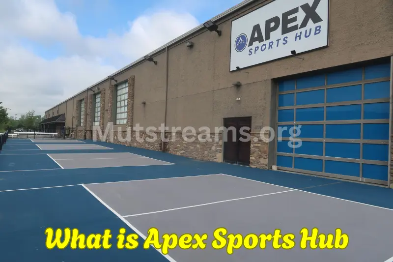 What is Apex Sports Hub