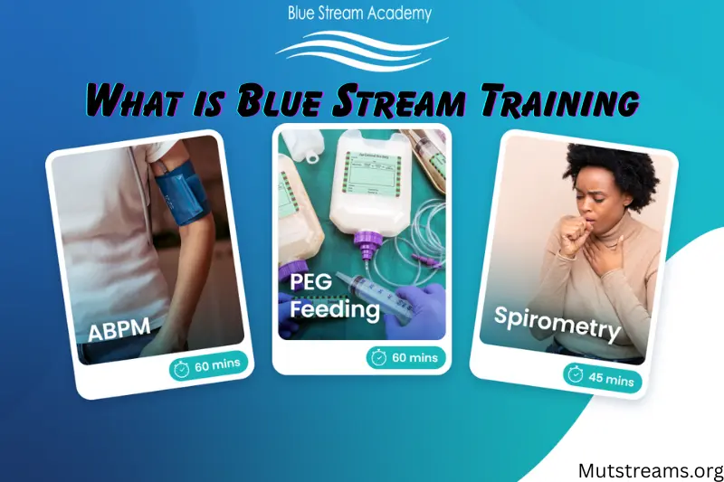 What is Blue Stream Training