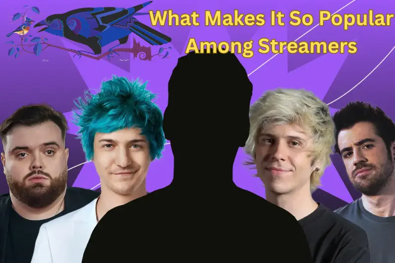 What Makes It So Popular Among Streamers