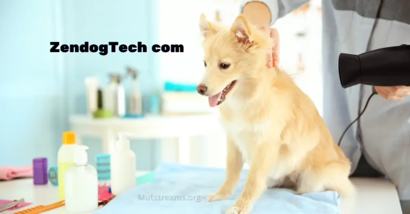ZendogTech com